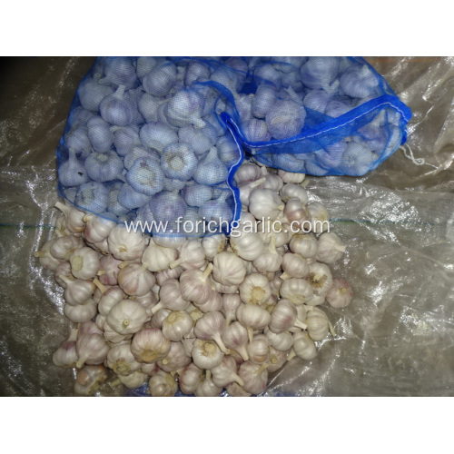 2020 Hot Sale Normal White Garlic